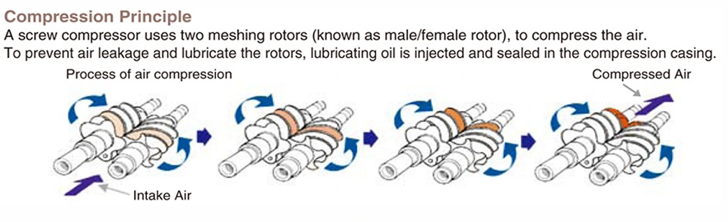 Bestrand Industrial Rotary Screw Air Compressor