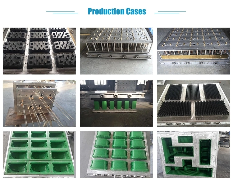 EPS Mold for Making Fruit Box